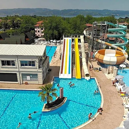 Aqua Wellness