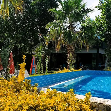 Aqua Wellness